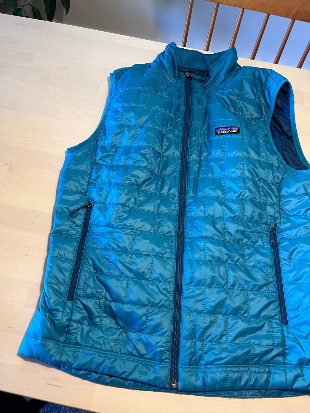 Patagonia men’s nano' Teal vest medium